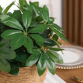 13in Lifelike Artificial Plant